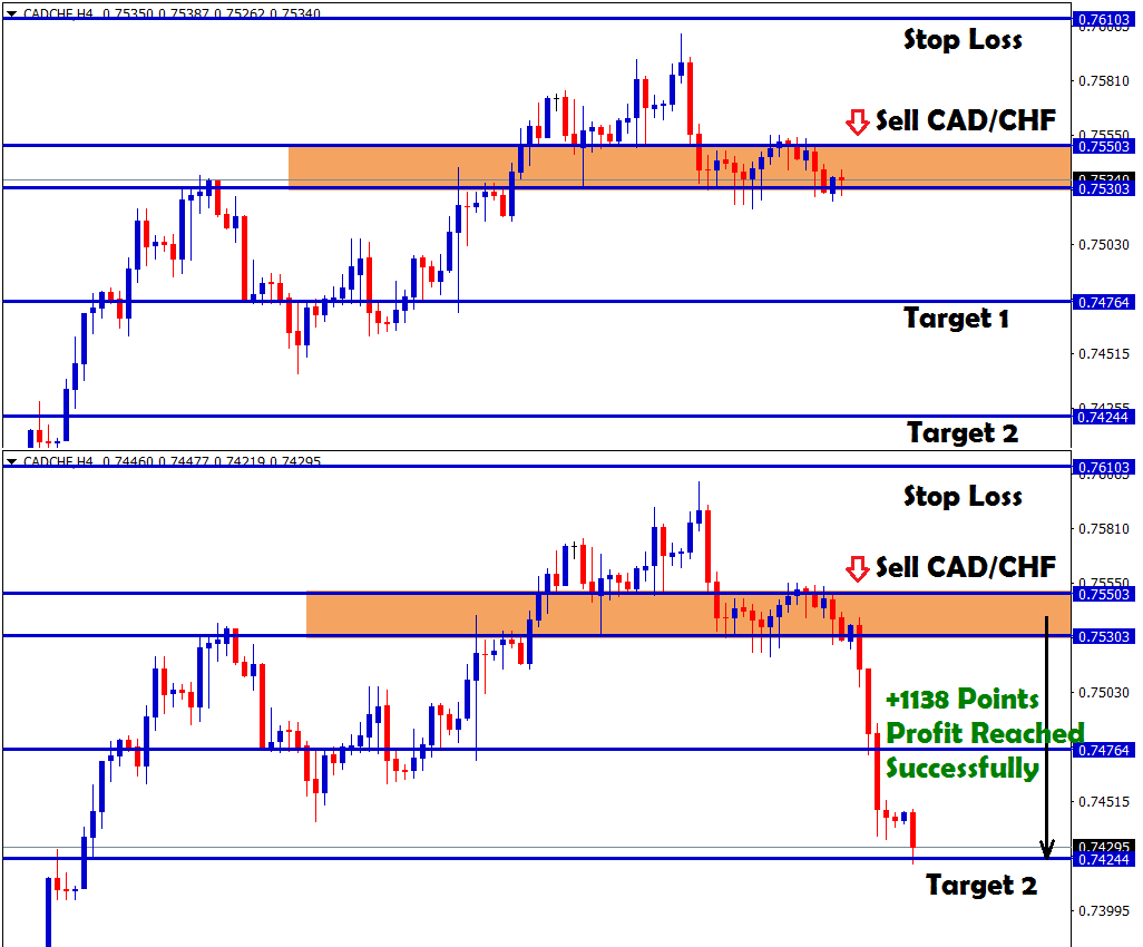 1138 points profit in cadchf sell