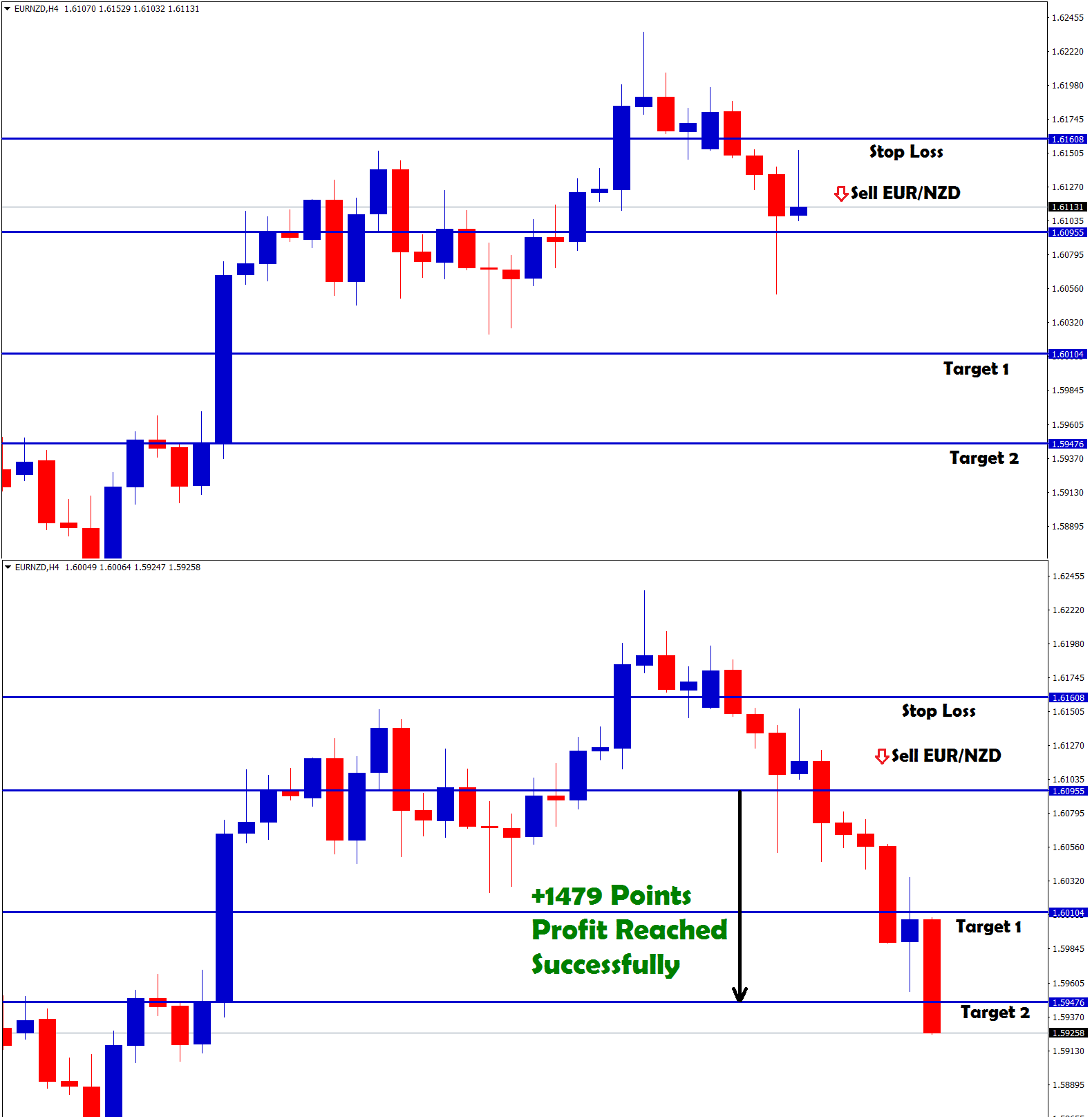 147 pips profit made in eurnzd sell trading signal