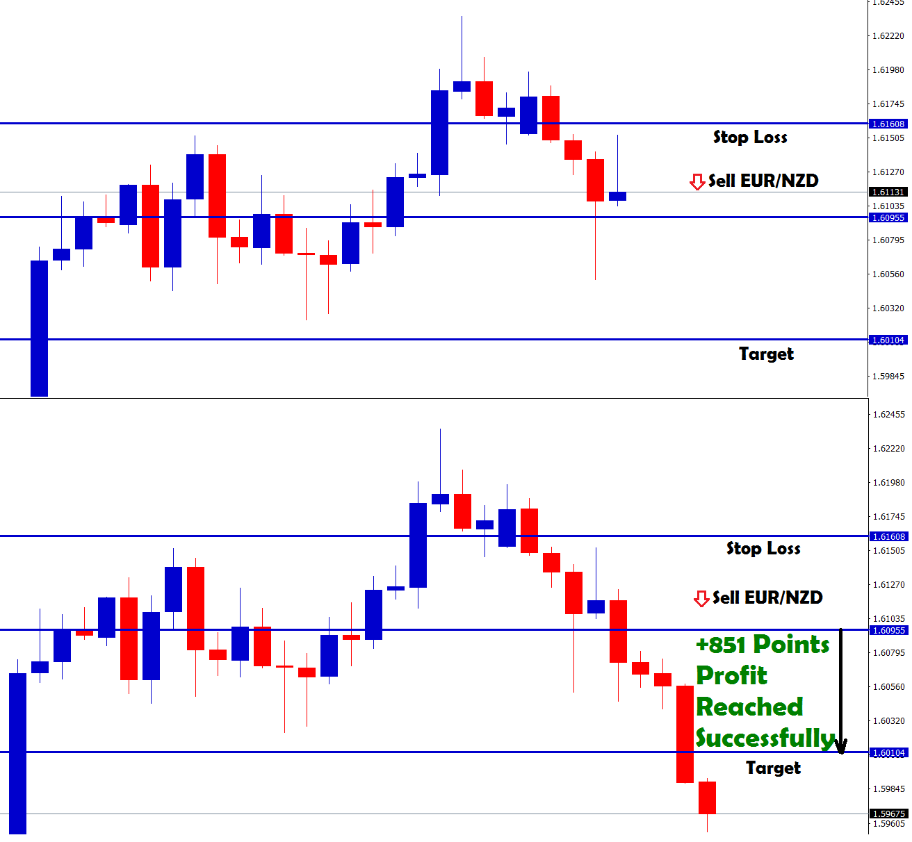 eurnzd pip strategy for selling at reversal