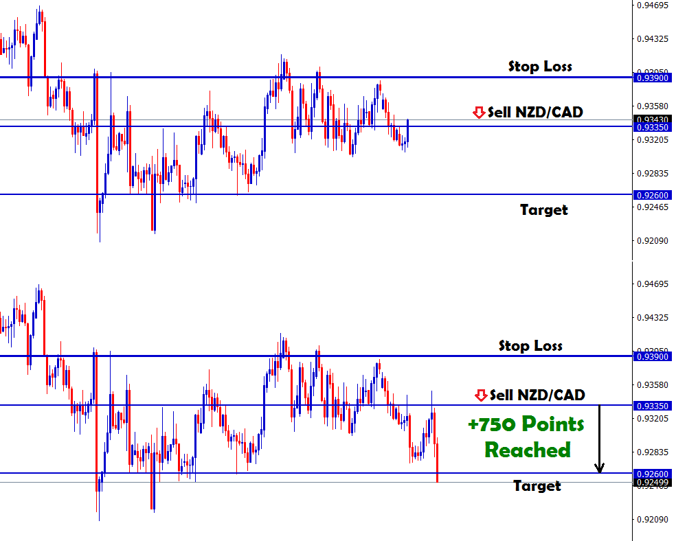 NZD CAD news trading signal for sell trade