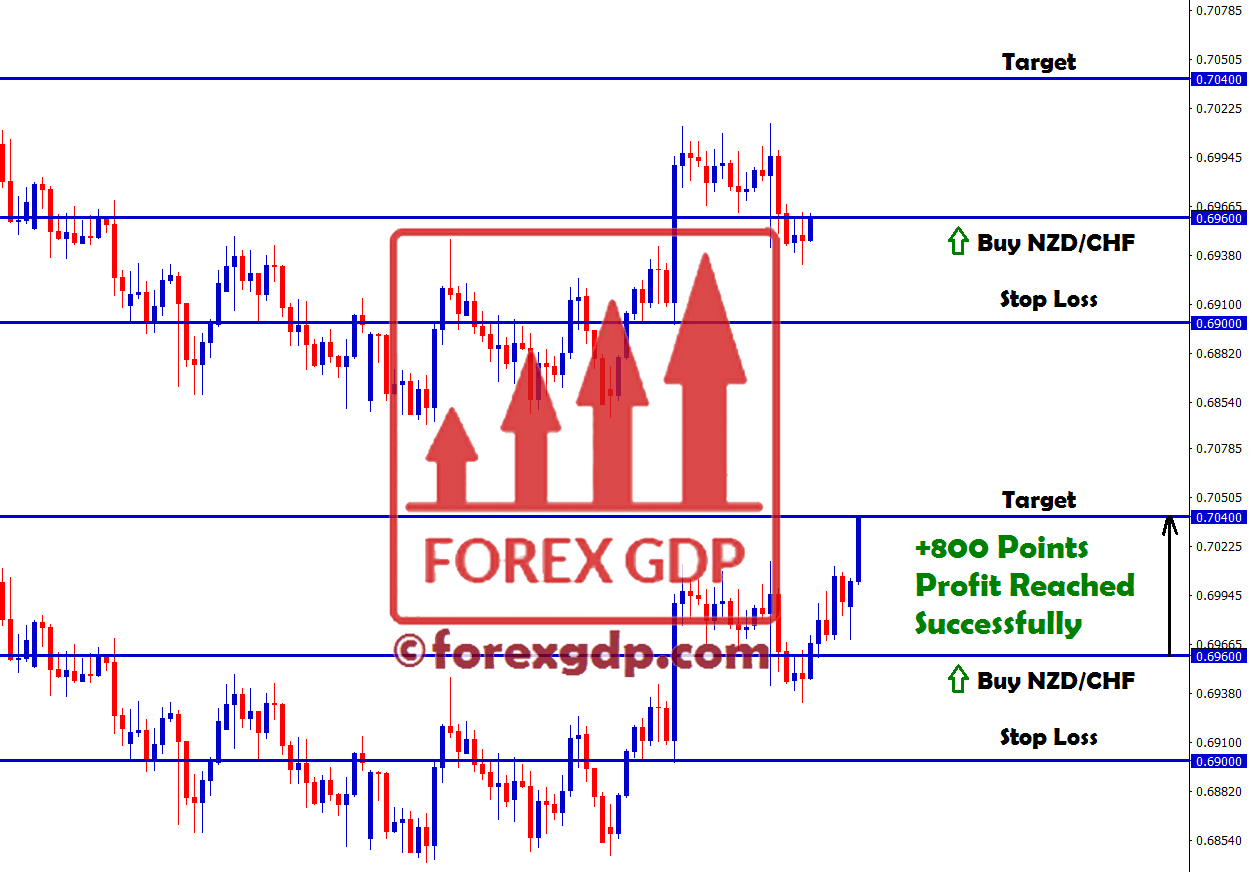 800 points profit in nzdchf buy trading signal