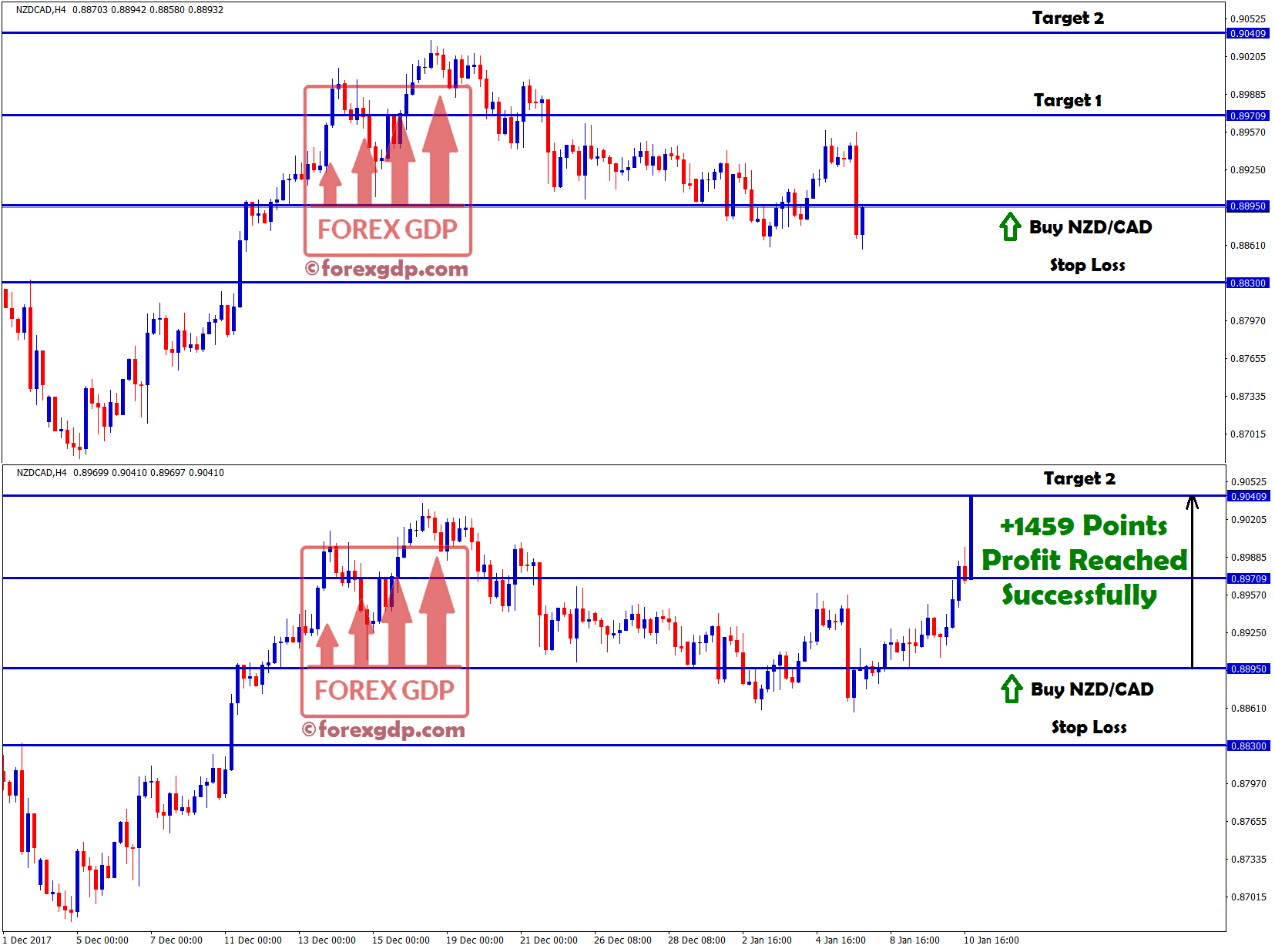 +1459 points profit made in nzd cad