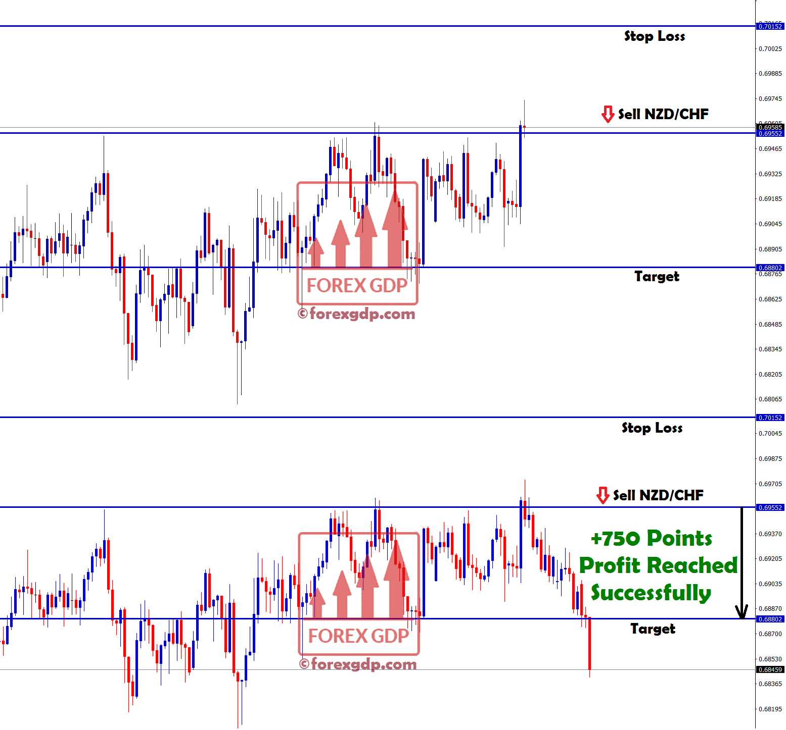 +750 points profit made in nzd chf sell signal