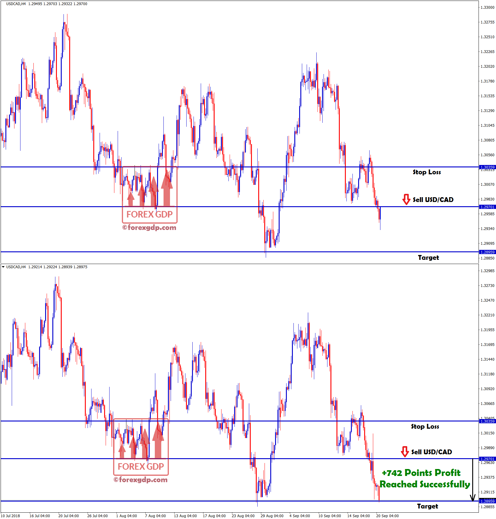 +742 points profit made in usd cad sell signal