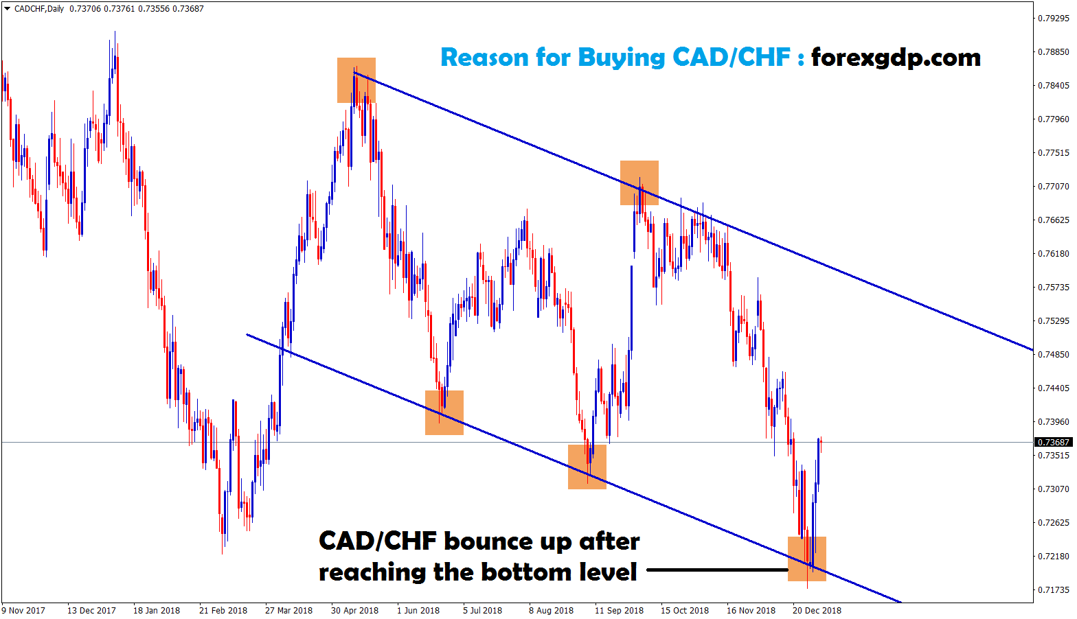 cad chf bounce after reached the bottom