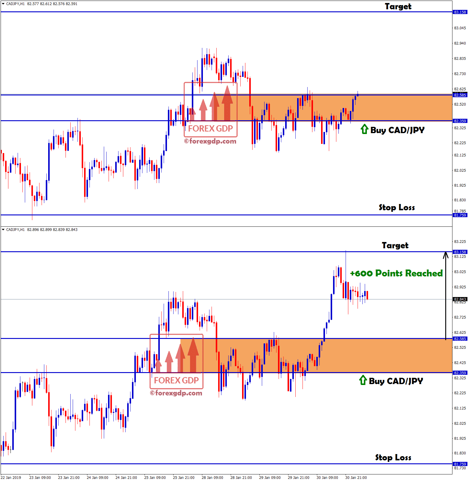cadjpy buy signal hits target with +600 points