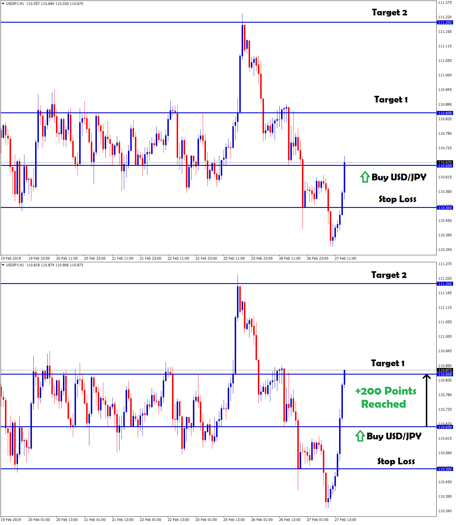 20 pip profit made in usd/jpy buy signal