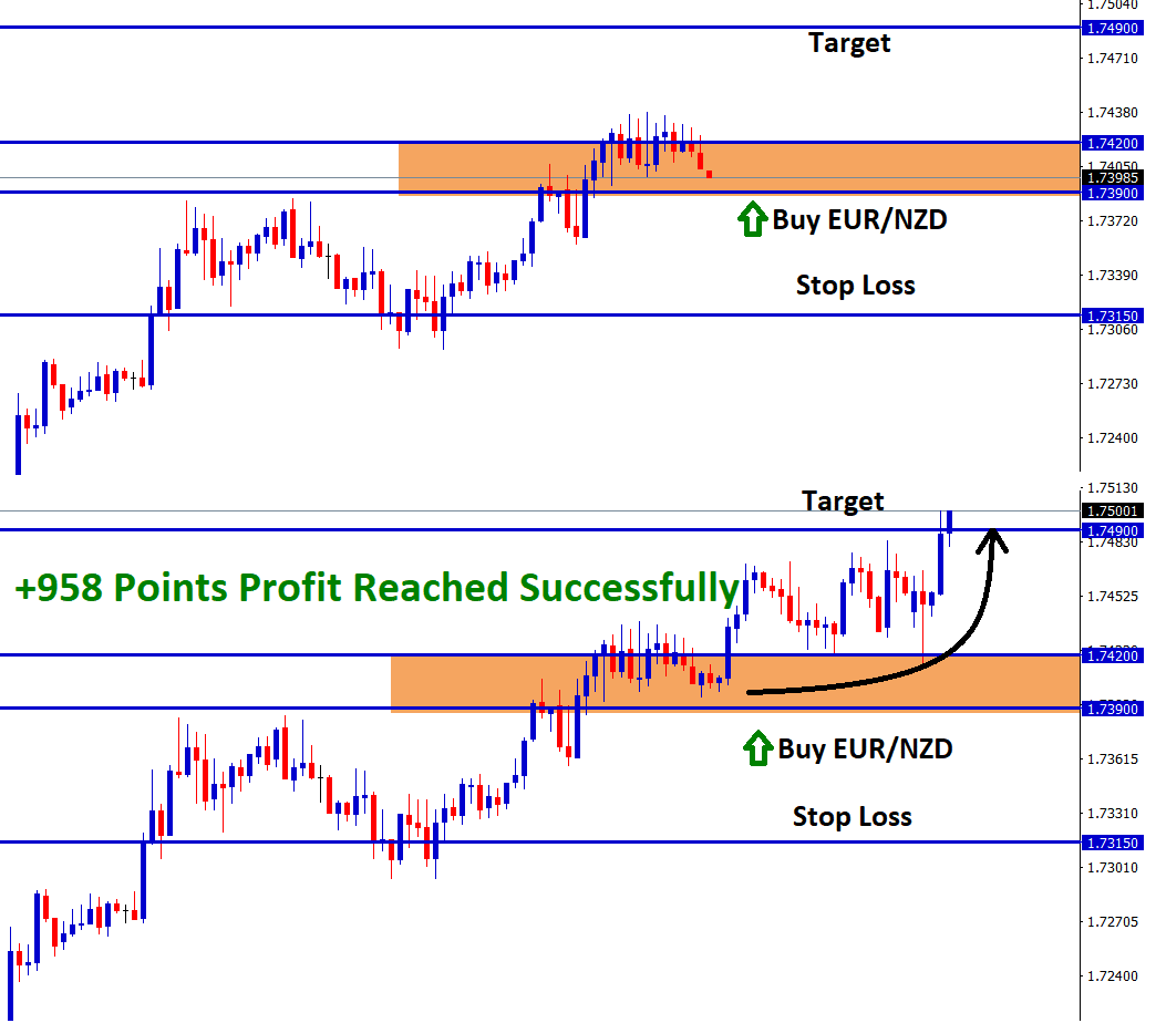 958 points profit touched in eur nzd buy signal