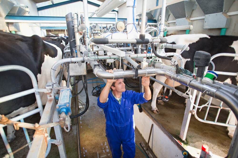 Rising milk prices failed to support New Zealand Dairy revenues