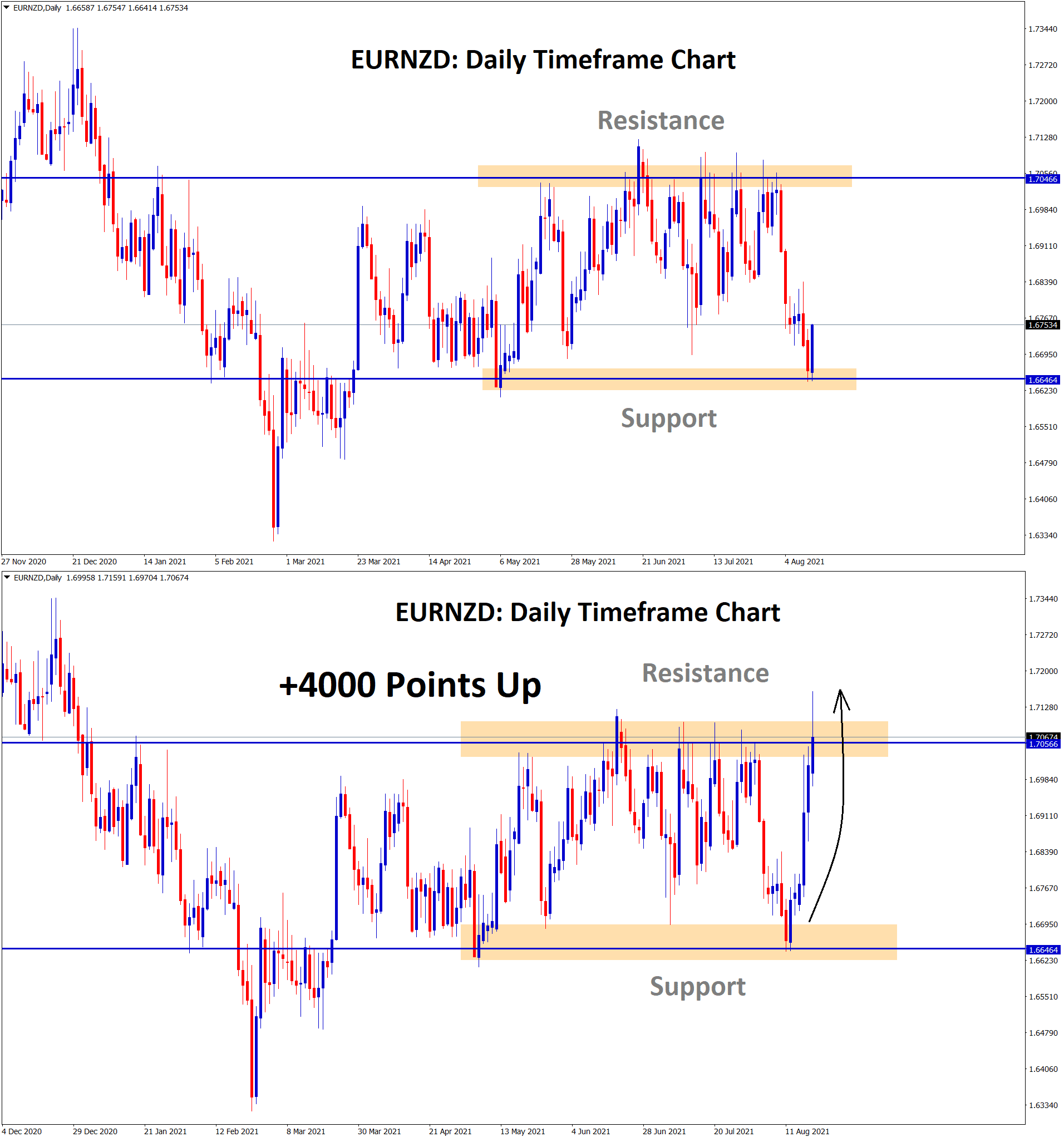 EURNZD rebound 4000 points from the support