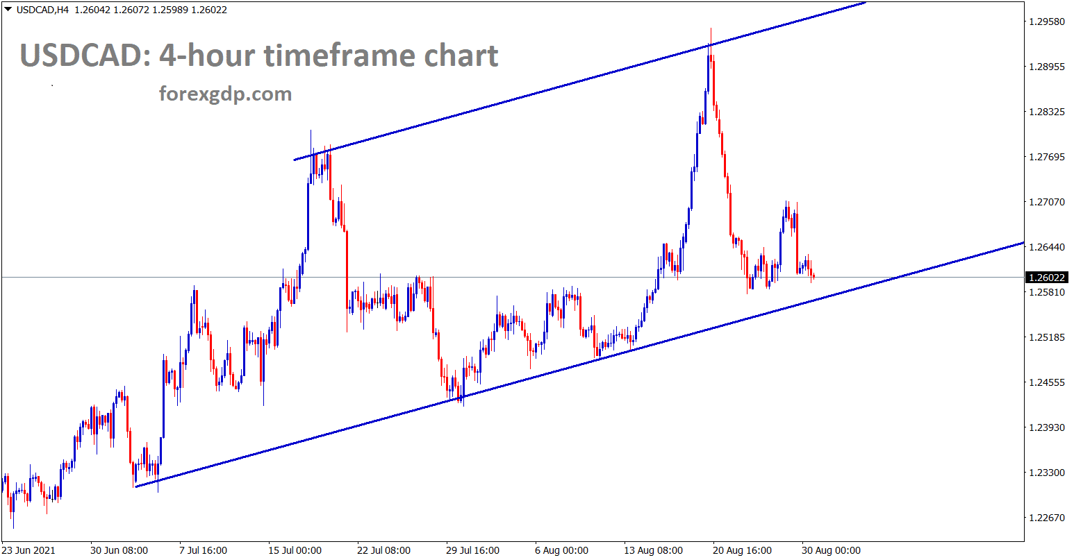 USDCAD is going to reach the higher low of uptrend line in the h4 chart