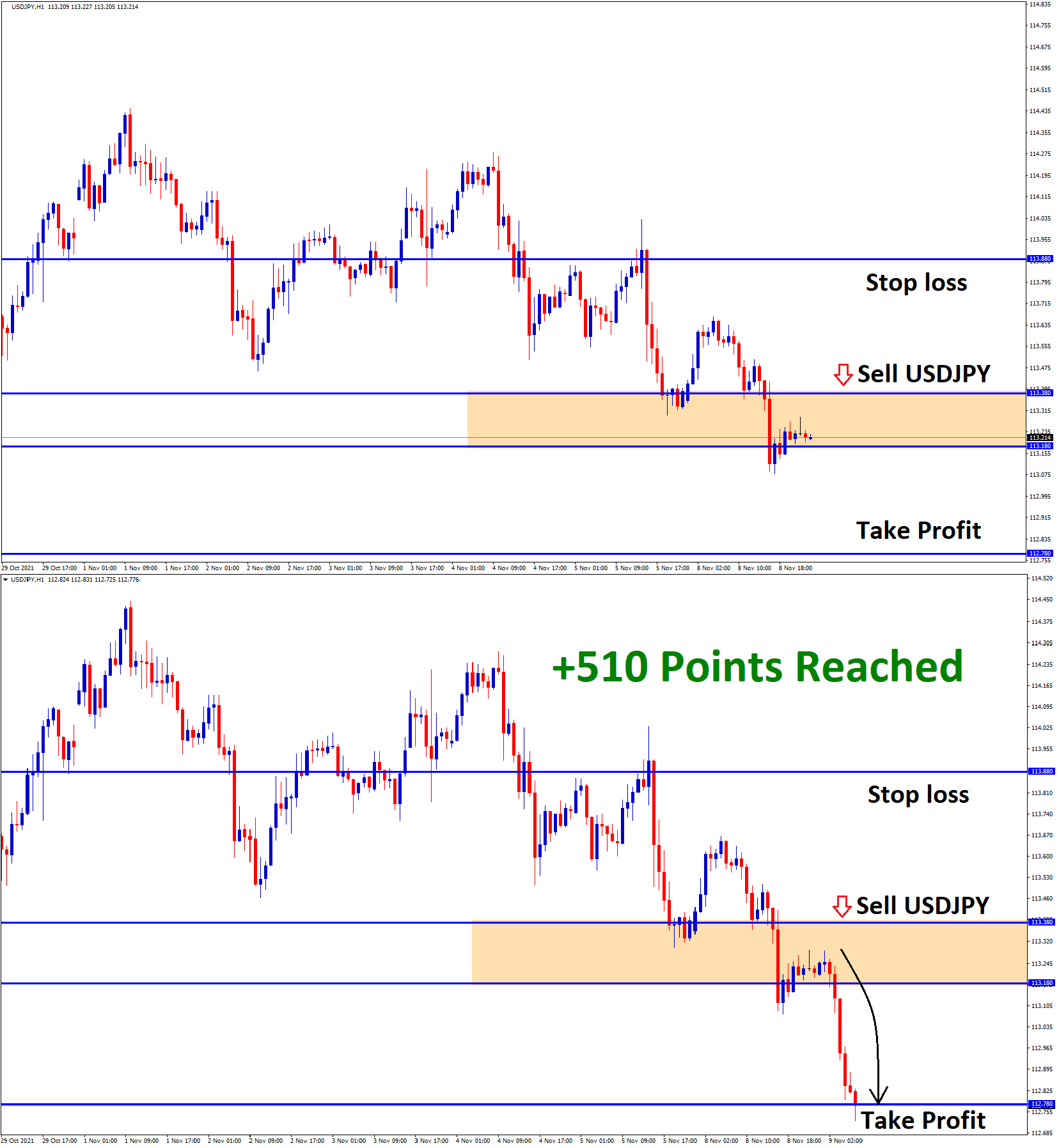 USDJPY T1 Nov09 G on Nov08 510 Points
