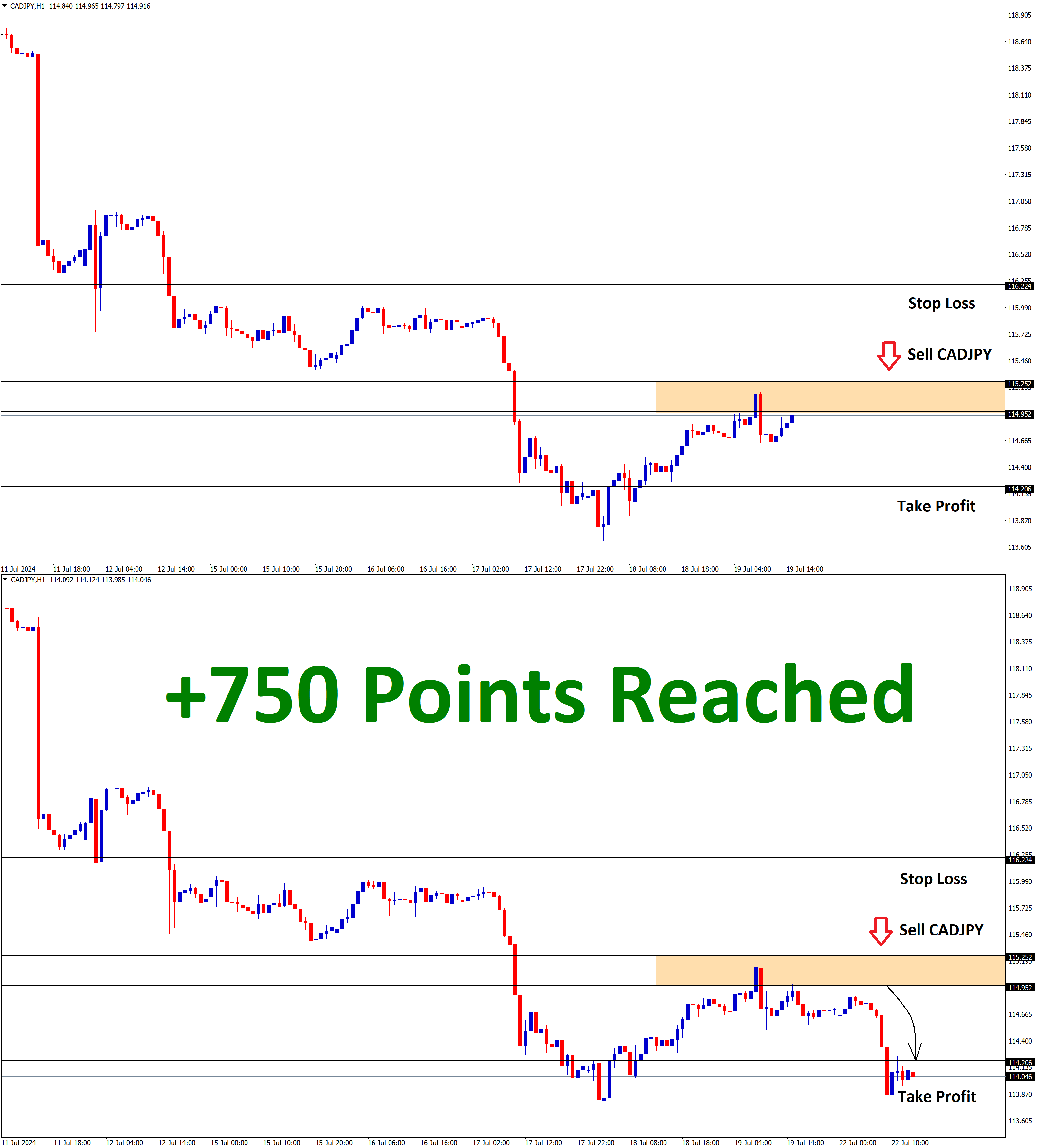 CADJPY July'19 T1 July'22 +750 Points