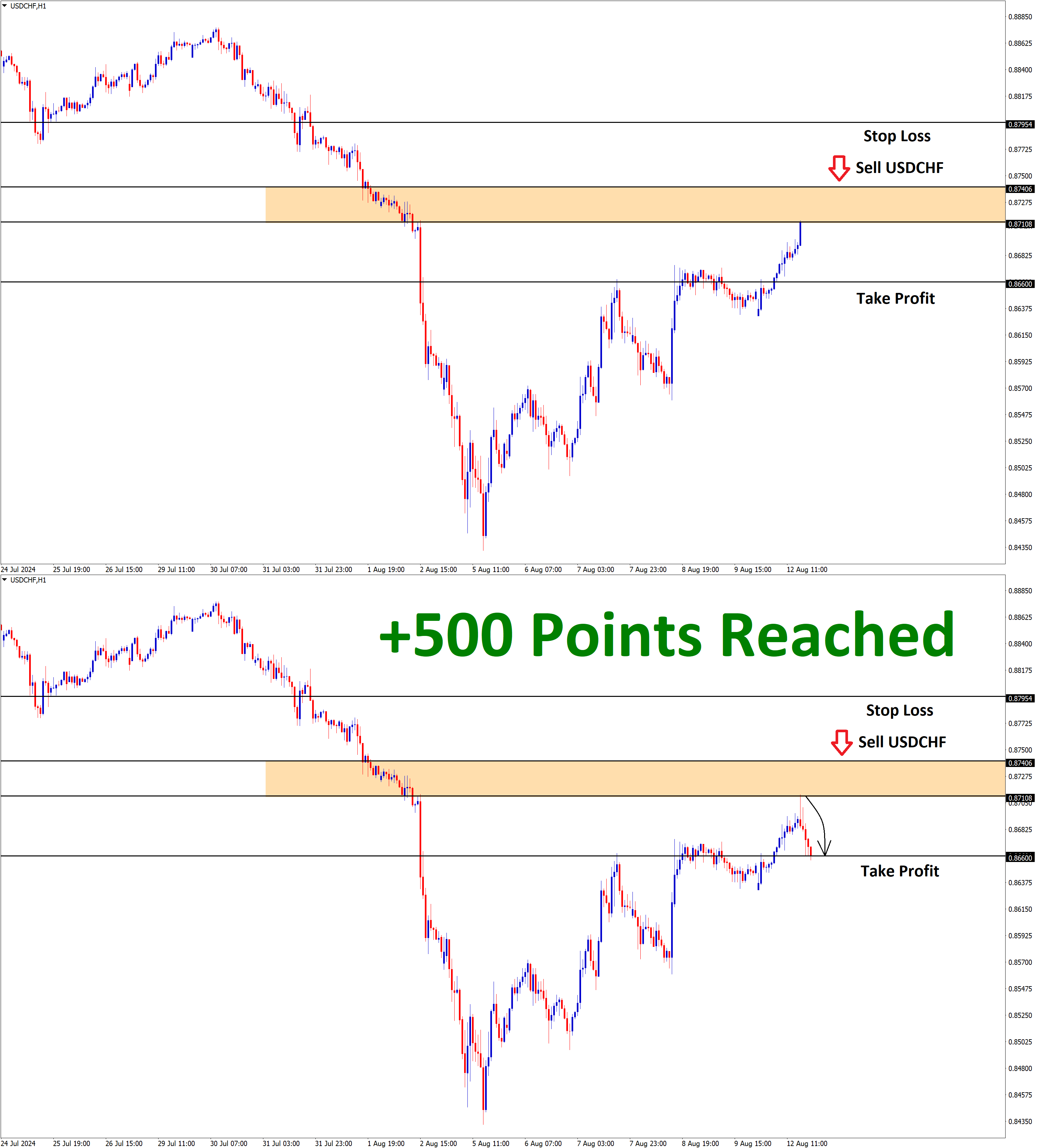 USDCHF Aug'12 T1 Aug'13 +500 Points