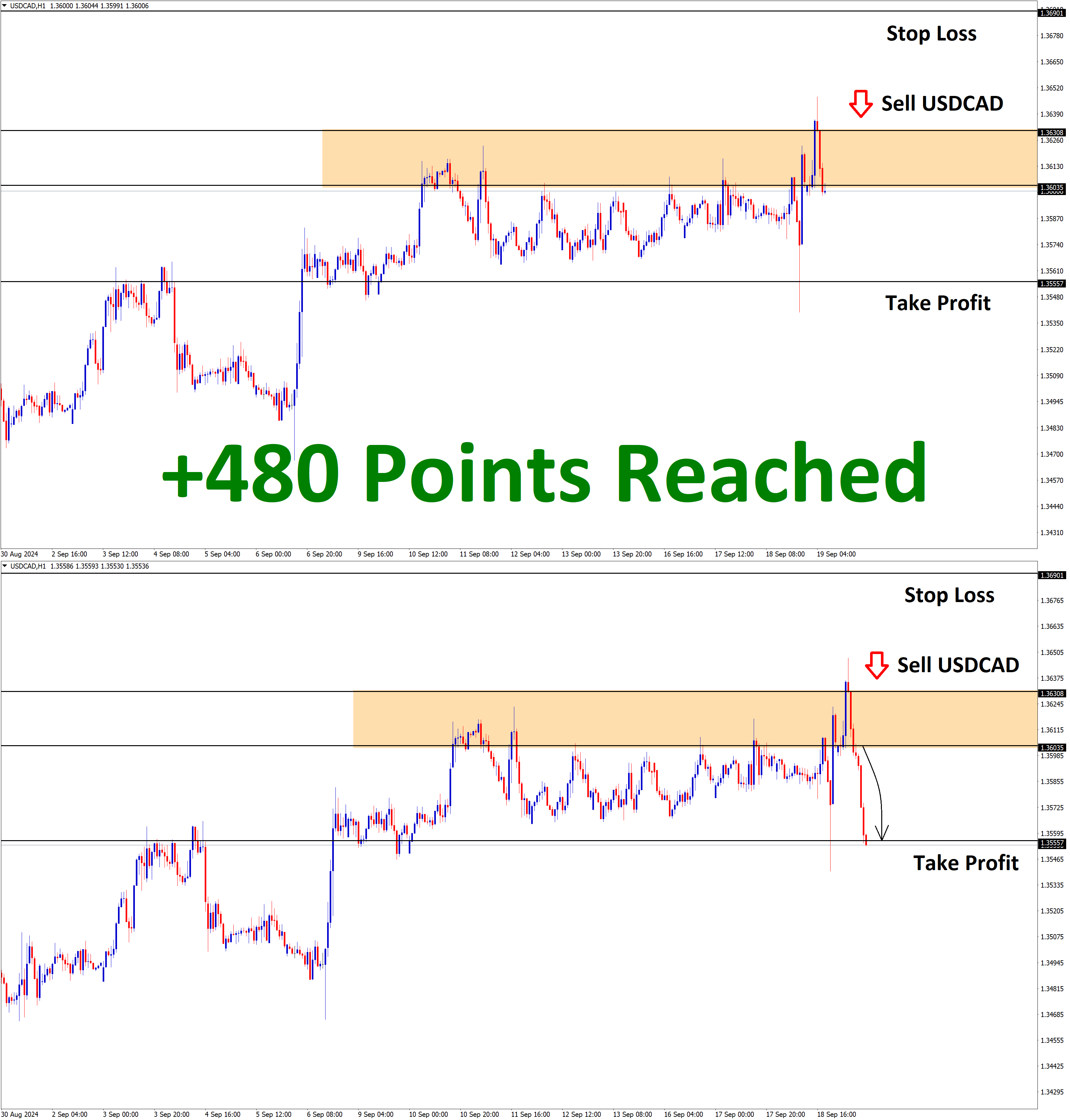 USDCAD Sep'19 T1 Sep'19 +480 Points