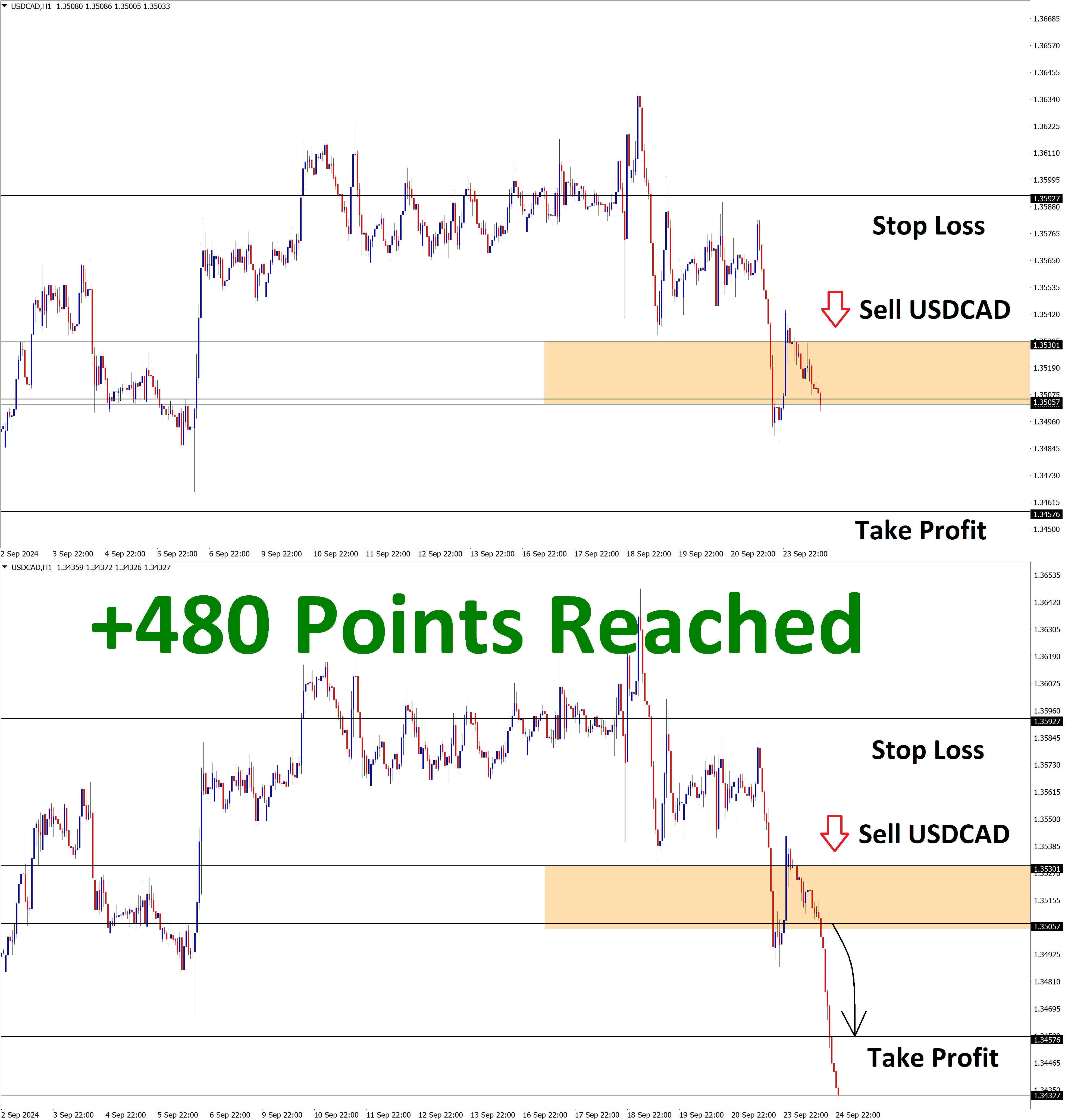 USDCAD Sep'24 T1 Sep'25 +480 Points