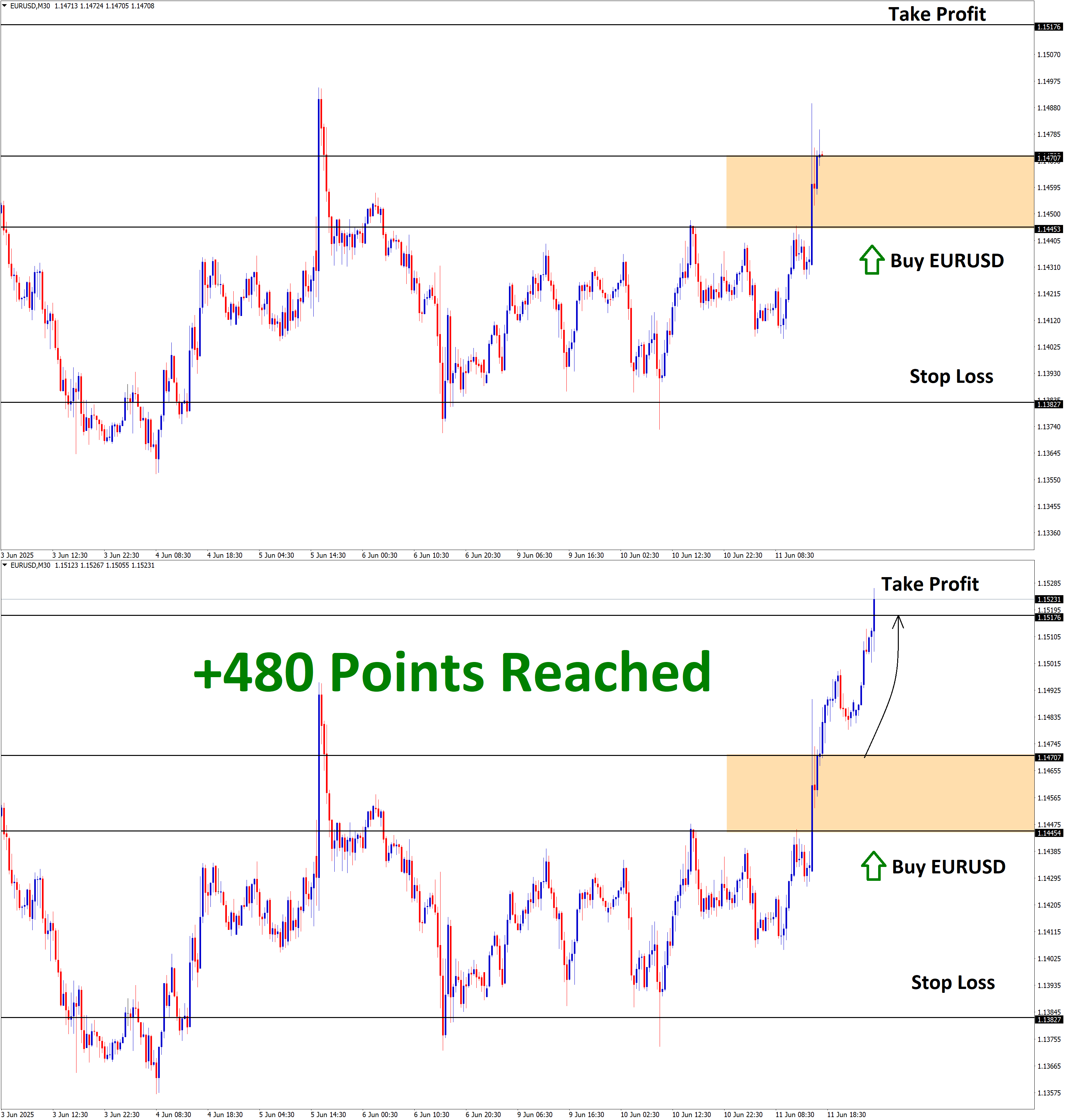 EURUSD June'11 T1 June'12 +480 Points