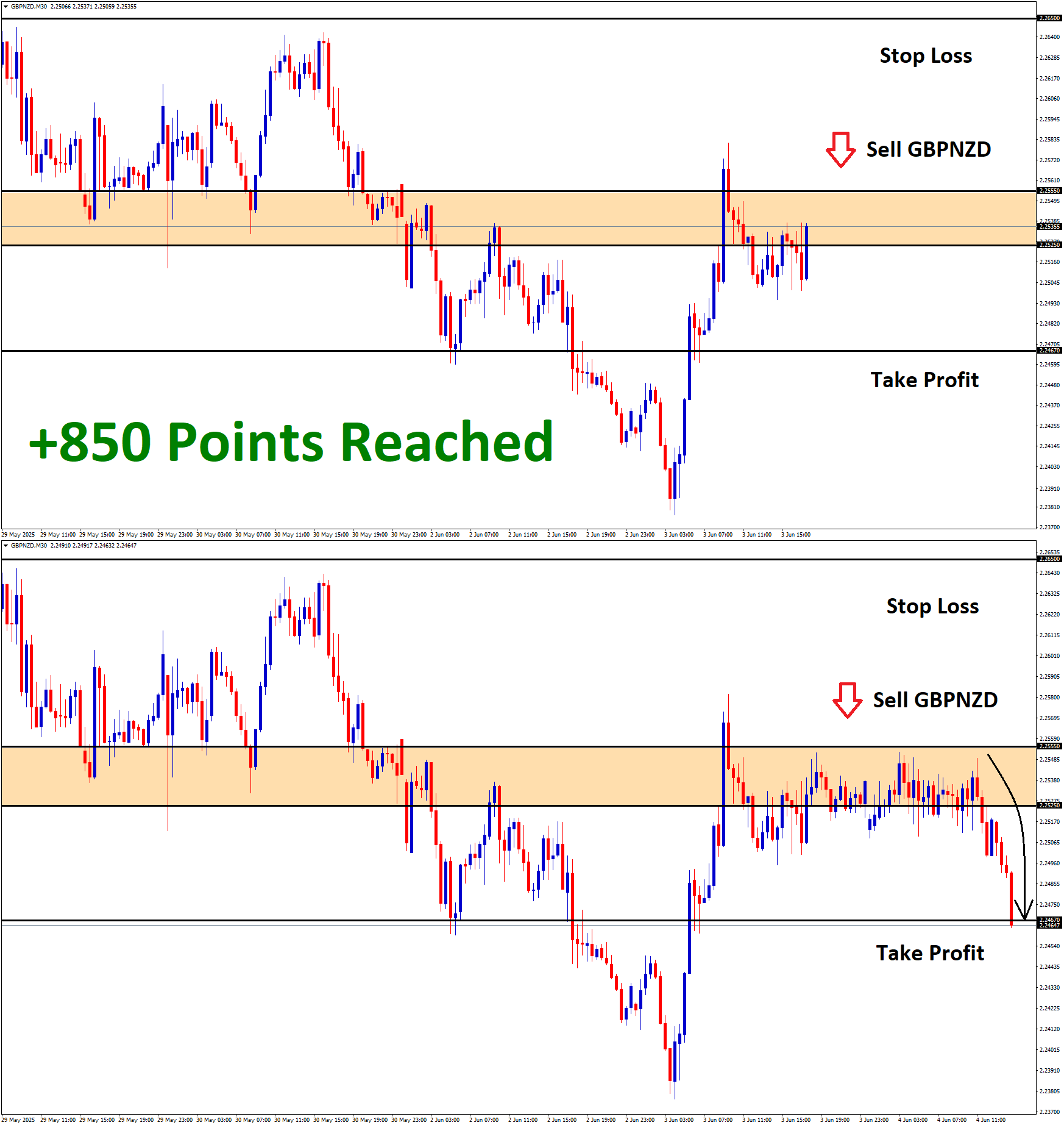 GBPNZD June'03 T1 June'04