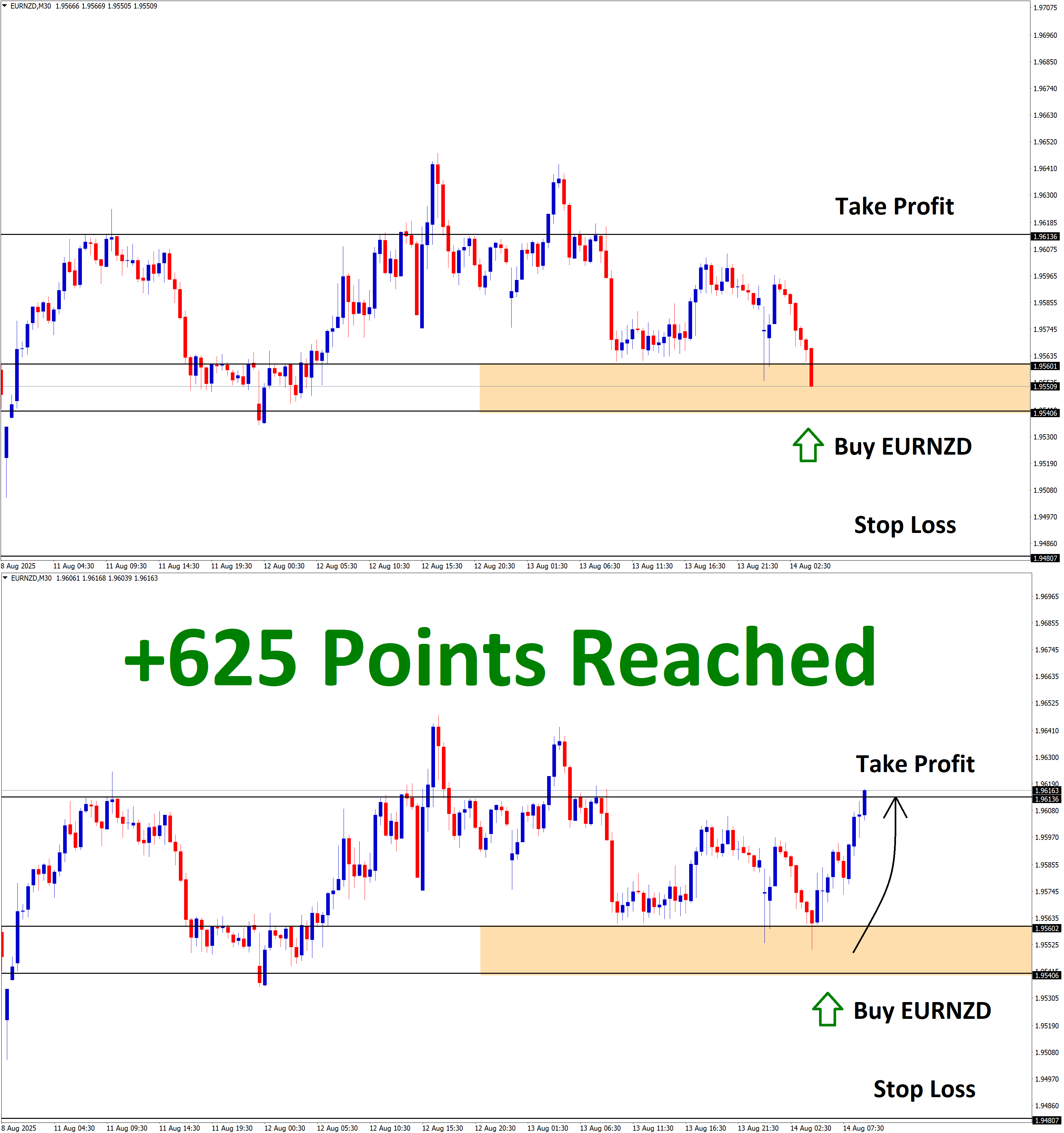 EURNZD Aug'13 T1 Aug'14 +625 Points
