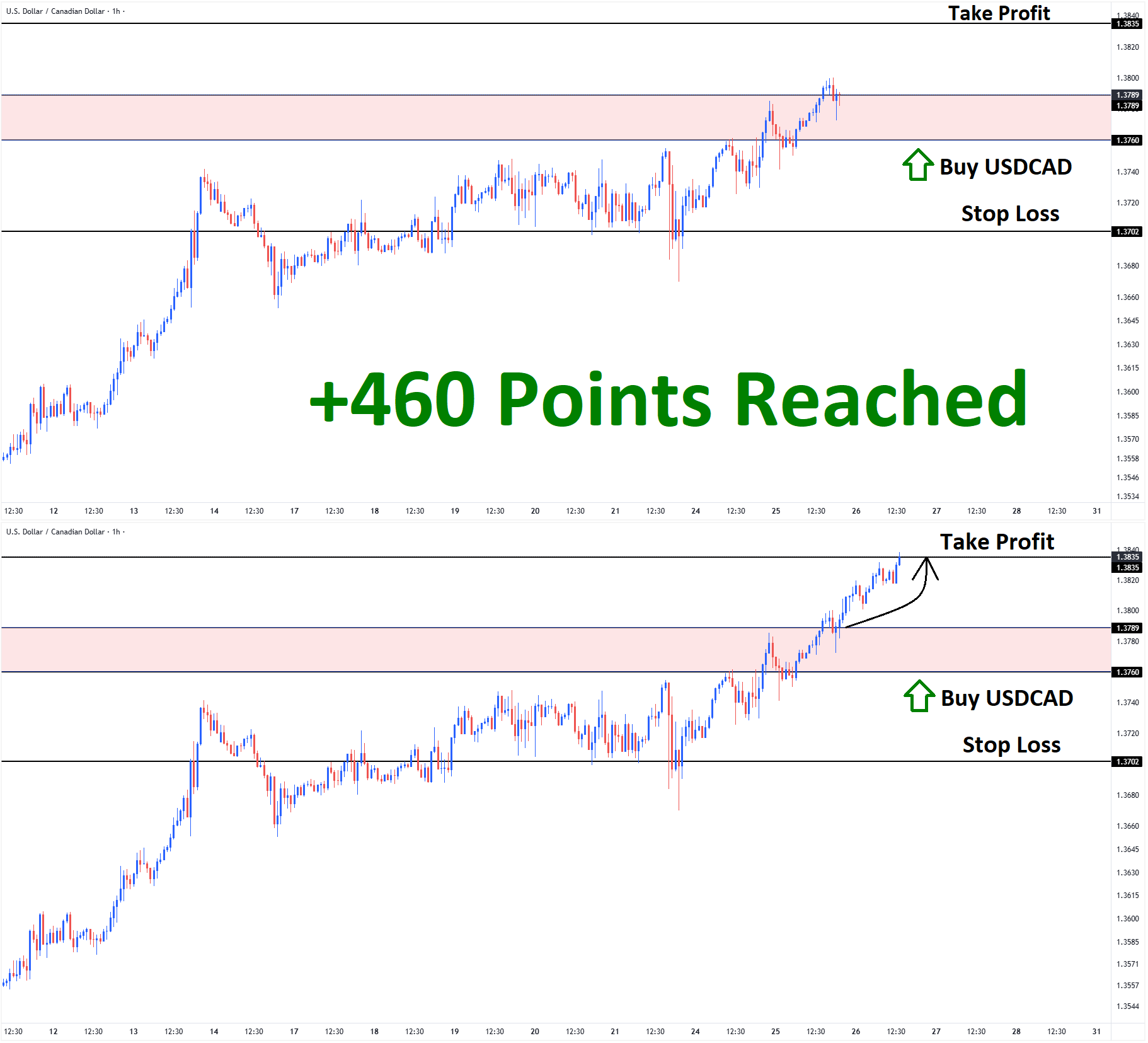 USDCAD Mar'25 T1 Mar'26 +460 Points USDCAD Mar'25 T1 Mar'26 +460 Points